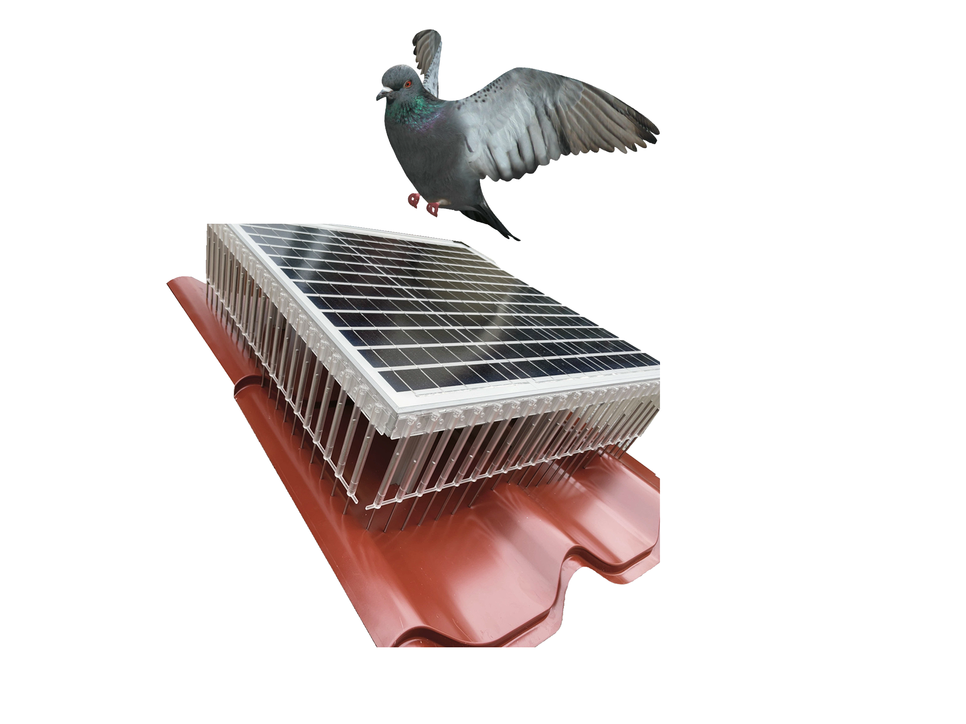 Taubenabwehr KST Solar
